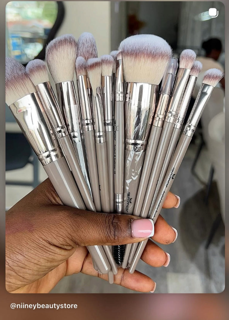 ANMOR 16 PCS BRUSH SET WITH A PURSE